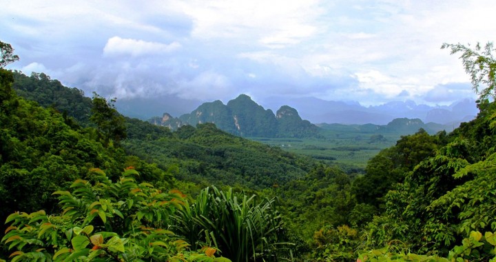 Khao Sok Safari day…