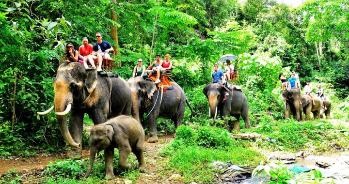 Koh Lanta Safari Tour