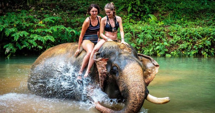 Elephant Trekking &…