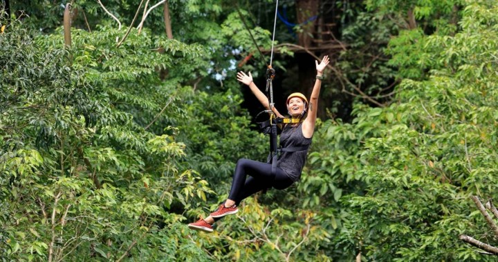 Zip Line Adventure Elephant…