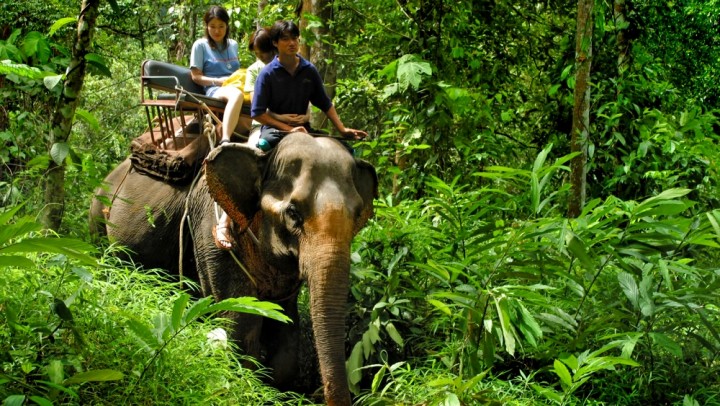 Phang Nga Safari Avatar…