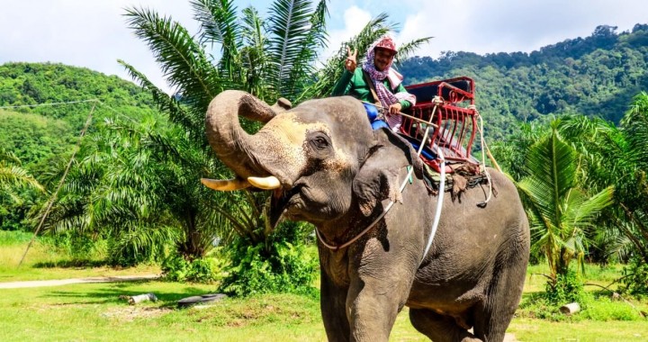 Koh Chang Elephant Trekking