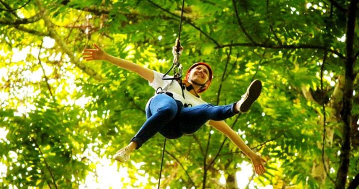 Tree Top Adventure Park…