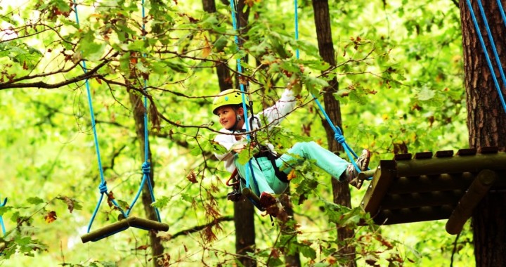 Tree Top Adventure Park…