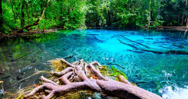 Emerald Pool, Hot Springs…