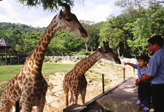 Khao Kheow Zoo in Pattaya