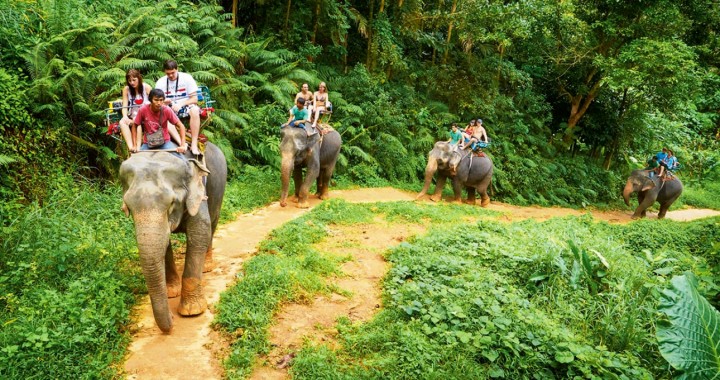 Elephant Trekking &…