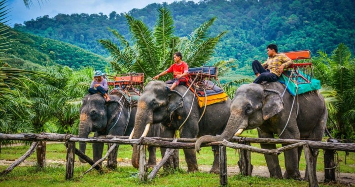 Khao Lak Safari z Phuketu