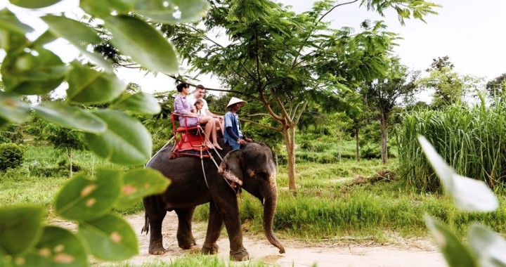 Hua Hin Elephant trekking