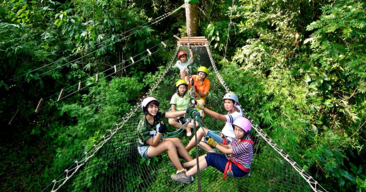 Tree Top Adventure Park…