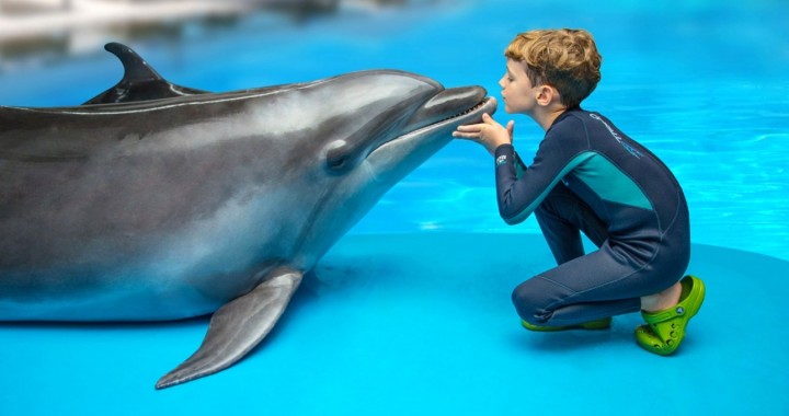 Dolphinarium in Pattaya